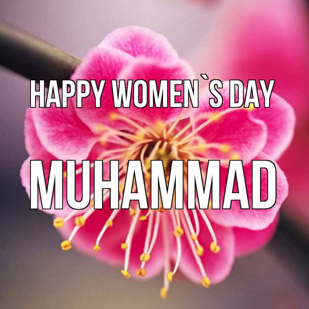 Greetings card с именем, Muhammad happy women`s day цветы Greetings with text for free download 